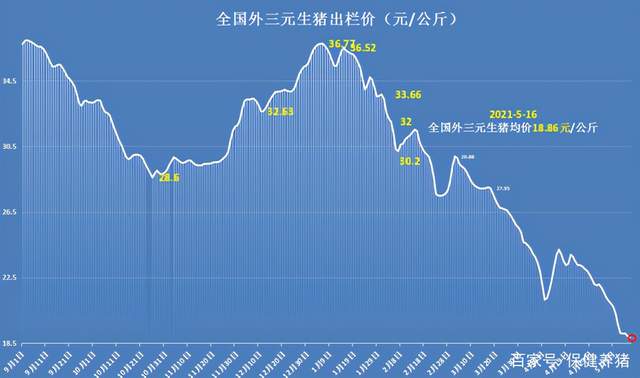 最早下半年猪价