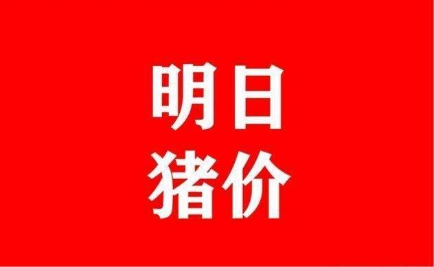 今日猪价最早价格完整