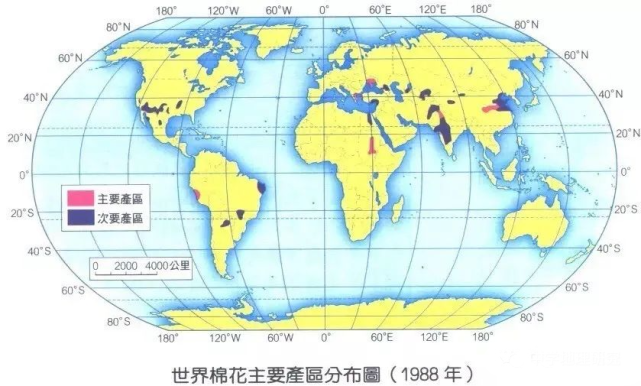 棉花产量最早情况