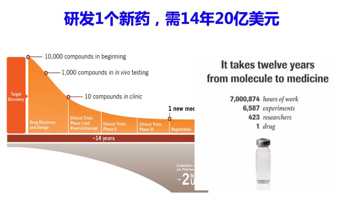 2025年3月17日 第3页