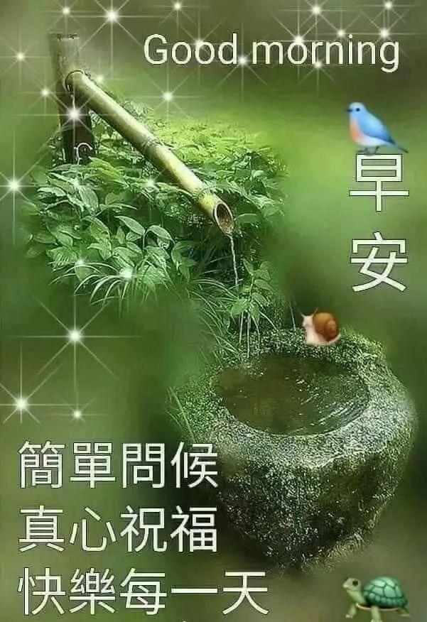 最近最早问候早上好